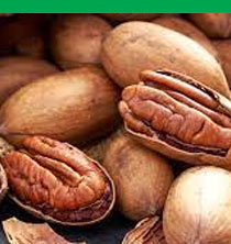 Surrey Group Shop Pecans Product